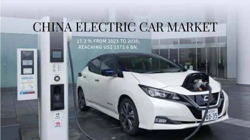 China Electric Car Market 2024-2030
