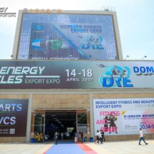 2025 New Energy Vehicles Export Expo & The 2nd Domestic Robots Export Expo